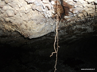 otta Petralia-17-03-2013 10-16-58
